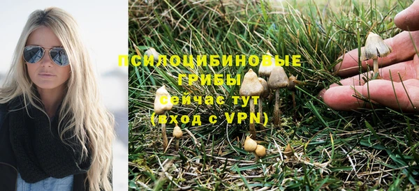 каннабис Богородицк
