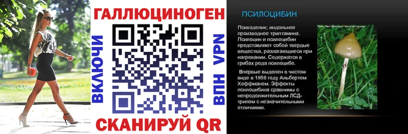 нарко площадка Telegram  Новосокольники  Псилоцибиновые грибы мицелий 